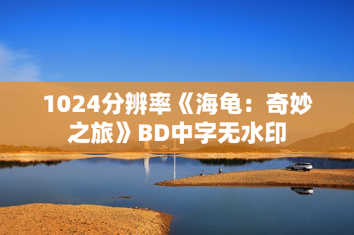 1024分辨率《海龟：奇妙之旅》BD中字无水印