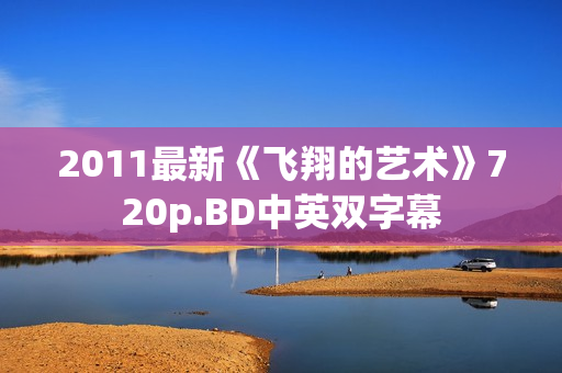 2011最新《飞翔的艺术》720p.BD中英双字幕
