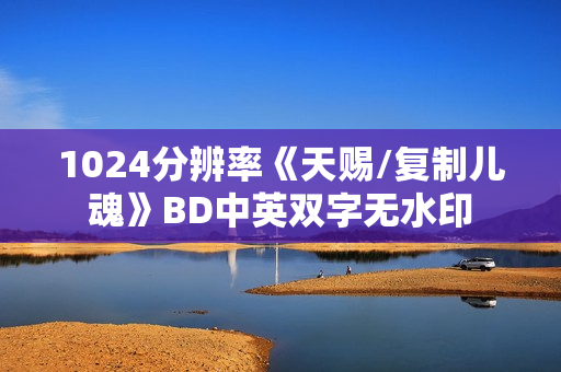 1024分辨率《天赐/复制儿魂》BD中英双字无水印