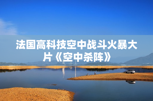 法国高科技空中战斗火暴大片《空中杀阵》