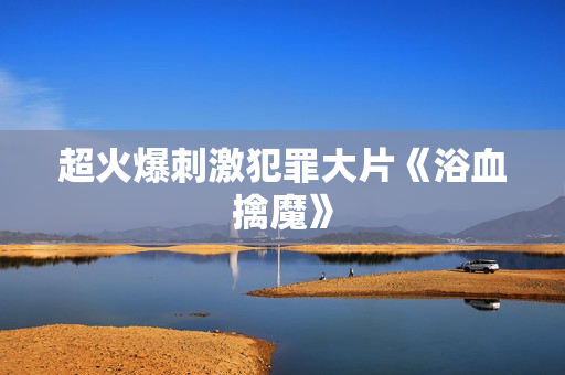 超火爆刺激犯罪大片《浴血擒魔》