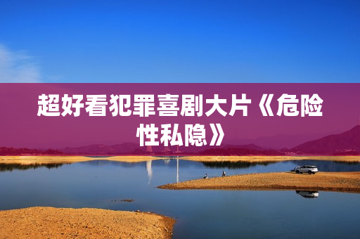 超好看犯罪喜剧大片《危险性私隐》