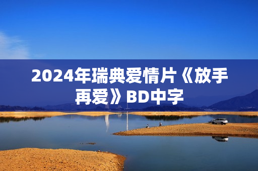2024年瑞典爱情片《放手再爱》BD中字