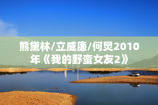 熊黛林/立威廉/何炅2010年《我的野蛮女友2》