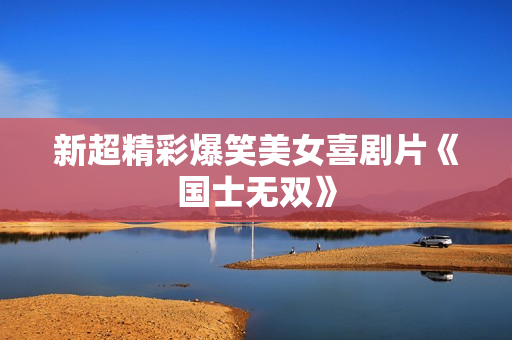 新超精彩爆笑美女喜剧片《国士无双》