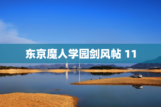 东京魔人学园剑风帖 11