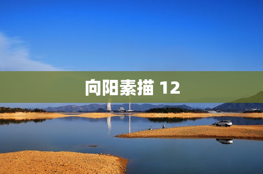 向阳素描 12