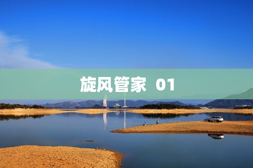 旋风管家  01