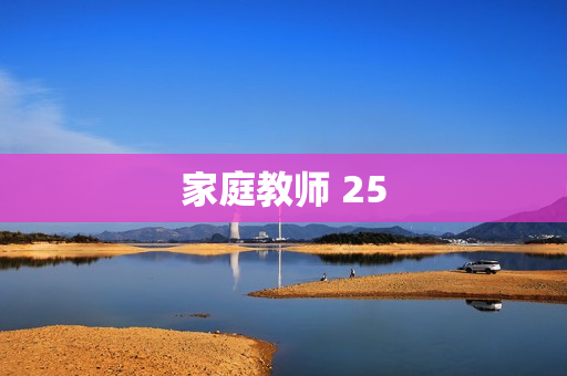家庭教师 25