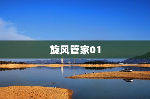旋风管家01