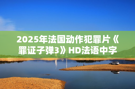 2025年法国动作犯罪片《罪证子弹3》HD法语中字