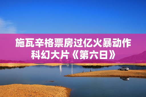 施瓦辛格票房过亿火暴动作科幻大片《第六日》