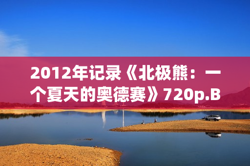 2012年记录《北极熊：一个夏天的奥德赛》720p.BD中字