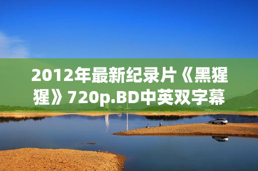 2012年最新纪录片《黑猩猩》720p.BD中英双字幕