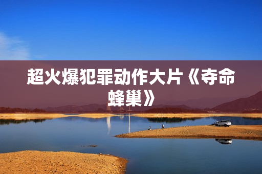 超火爆犯罪动作大片《夺命蜂巢》