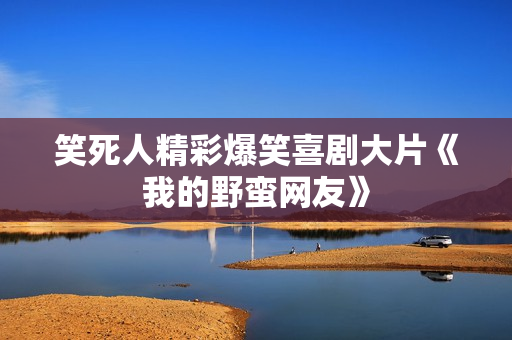 笑死人精彩爆笑喜剧大片《我的野蛮网友》