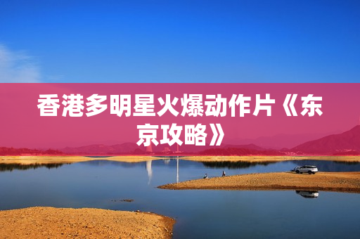 香港多明星火爆动作片《东京攻略》