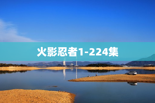 火影忍者1-224集