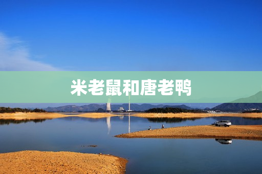 米老鼠和唐老鸭