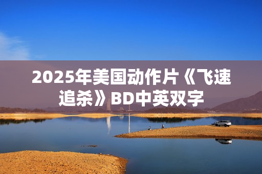 2025年美国动作片《飞速追杀》BD中英双字