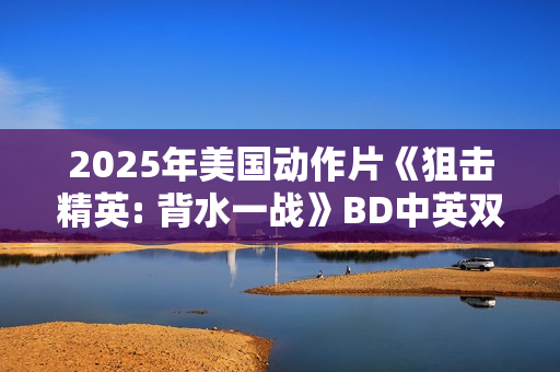 2025年美国动作片《狙击精英: 背水一战》BD中英双字