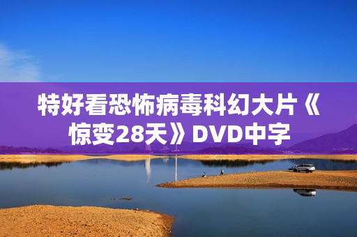 特好看恐怖病毒科幻大片《惊变28天》DVD中字