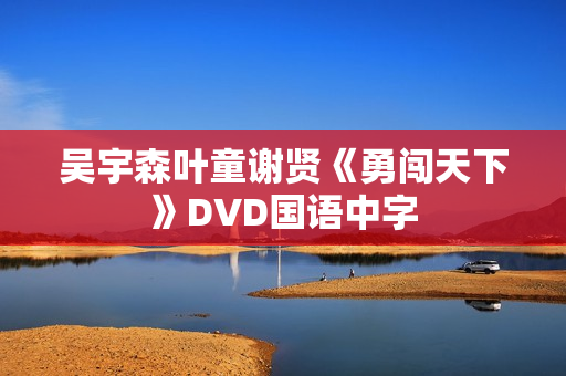吴宇森叶童谢贤《勇闯天下》DVD国语中字