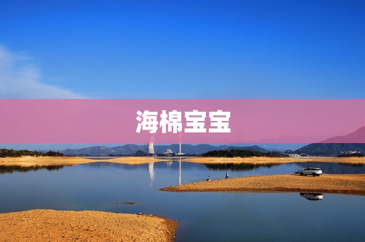 海棉宝宝