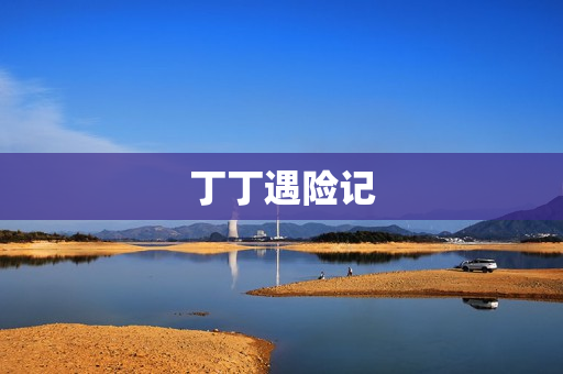 丁丁遇险记