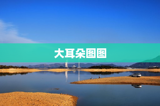 大耳朵图图