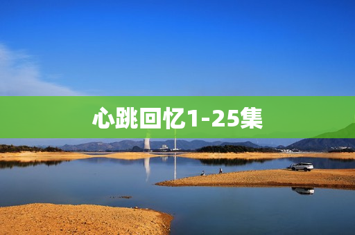 心跳回忆1-25集