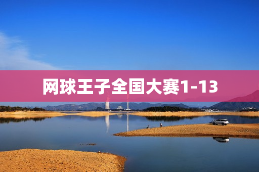 网球王子全国大赛1-13