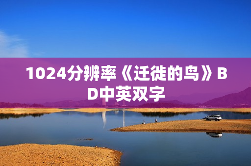 1024分辨率《迁徙的鸟》BD中英双字