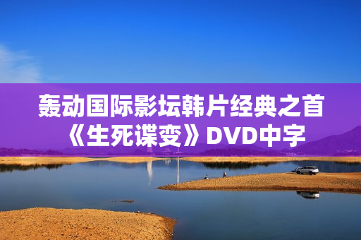 轰动国际影坛韩片经典之首《生死谍变》DVD中字