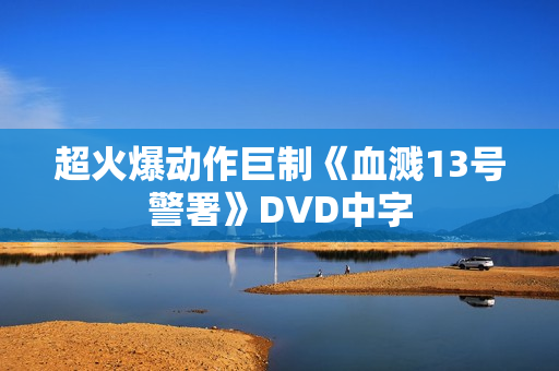 超火爆动作巨制《血溅13号警署》DVD中字