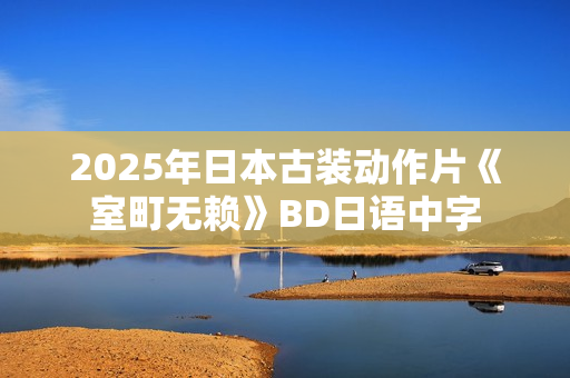 2025年日本古装动作片《室町无赖》BD日语中字