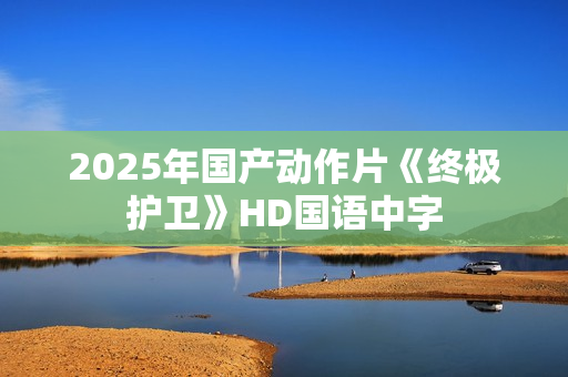 2025年国产动作片《终极护卫》HD国语中字
