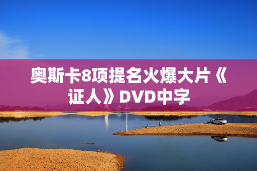 奥斯卡8项提名火爆大片《证人》DVD中字