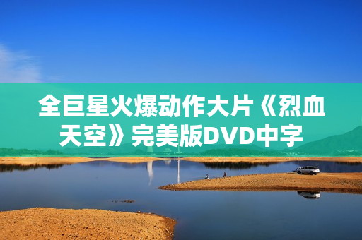 全巨星火爆动作大片《烈血天空》完美版DVD中字