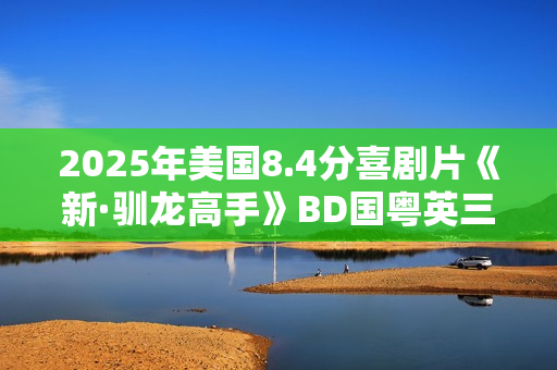 2025年美国8.4分喜剧片《新·驯龙高手》BD国粤英三语中英双字