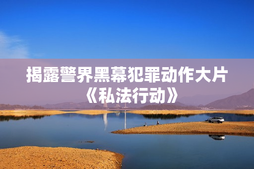 揭露警界黑幕犯罪动作大片《私法行动》