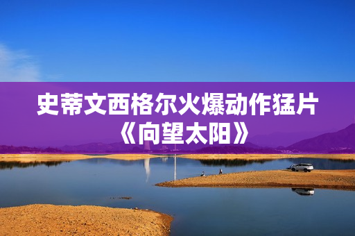 史蒂文西格尔火爆动作猛片《向望太阳》