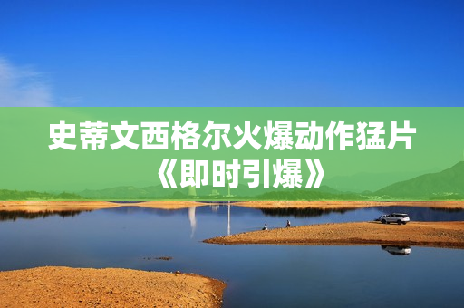 史蒂文西格尔火爆动作猛片《即时引爆》