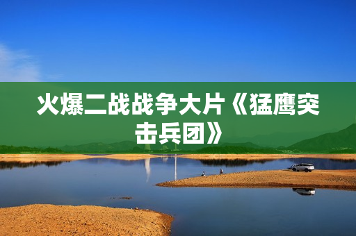 火爆二战战争大片《猛鹰突击兵团》