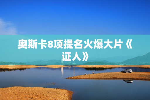奥斯卡8项提名火爆大片《证人》