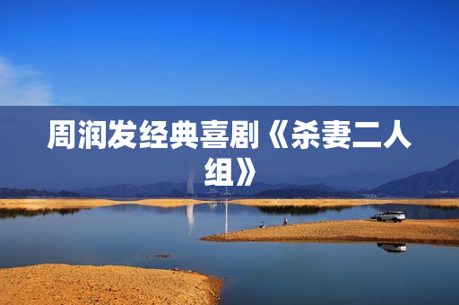 周润发经典喜剧《杀妻二人组》