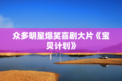 众多明星爆笑喜剧大片《宝贝计划》