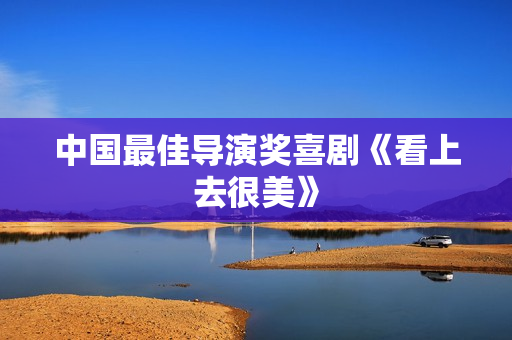 中国最佳导演奖喜剧《看上去很美》
