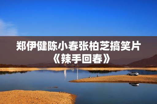 郑伊健陈小春张柏芝搞笑片《辣手回春》