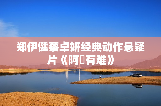 郑伊健蔡卓妍经典动作悬疑片《阿孖有难》